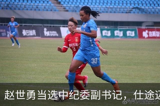 赵世勇当选中纪委副书记，仕途迈向新高度